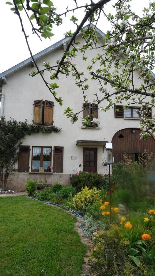 Le Jardin Des Secrets Bed & Breakfast La Voivre  Luaran gambar