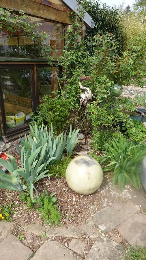 Le Jardin Des Secrets Bed & Breakfast La Voivre  Luaran gambar