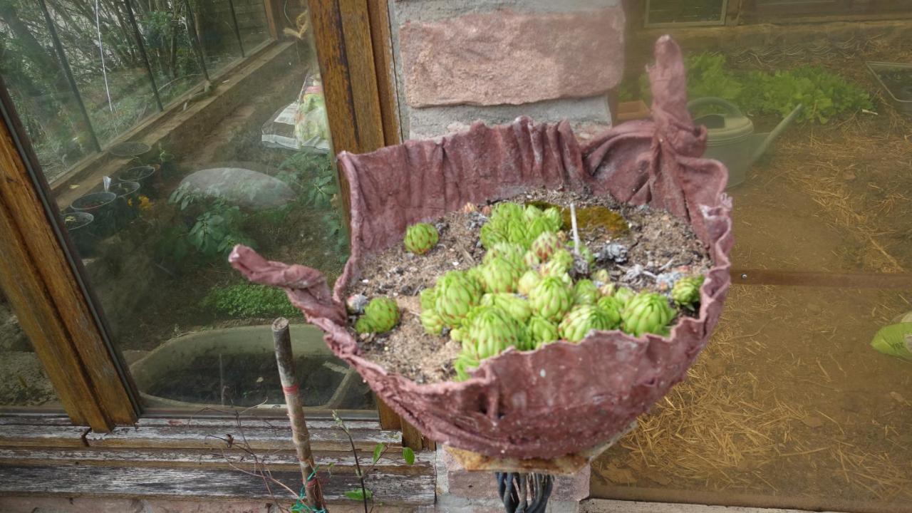 Le Jardin Des Secrets Bed & Breakfast La Voivre  Luaran gambar