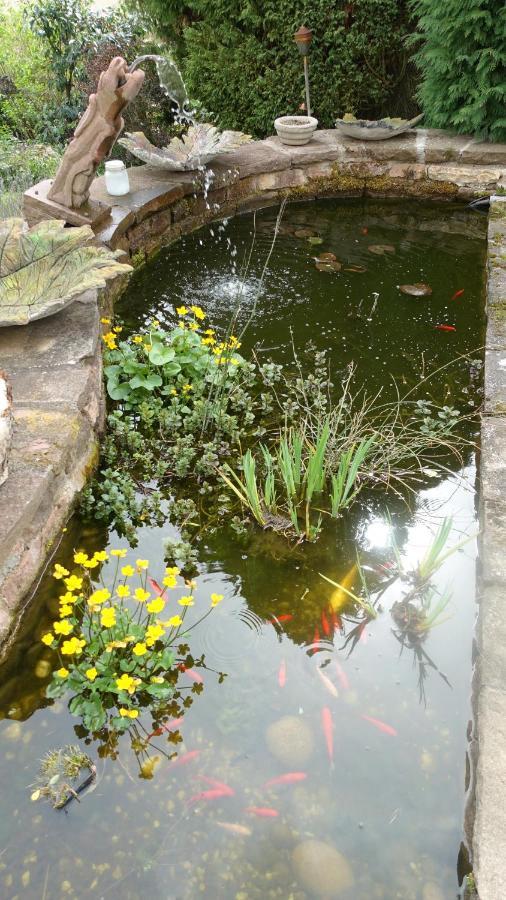 Le Jardin Des Secrets Bed & Breakfast La Voivre  Luaran gambar