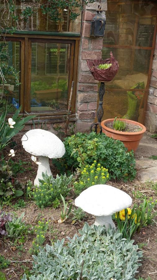Le Jardin Des Secrets Bed & Breakfast La Voivre  Luaran gambar