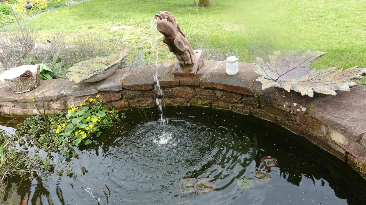 Le Jardin Des Secrets Bed & Breakfast La Voivre  Luaran gambar