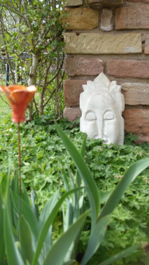 Le Jardin Des Secrets Bed & Breakfast La Voivre  Luaran gambar